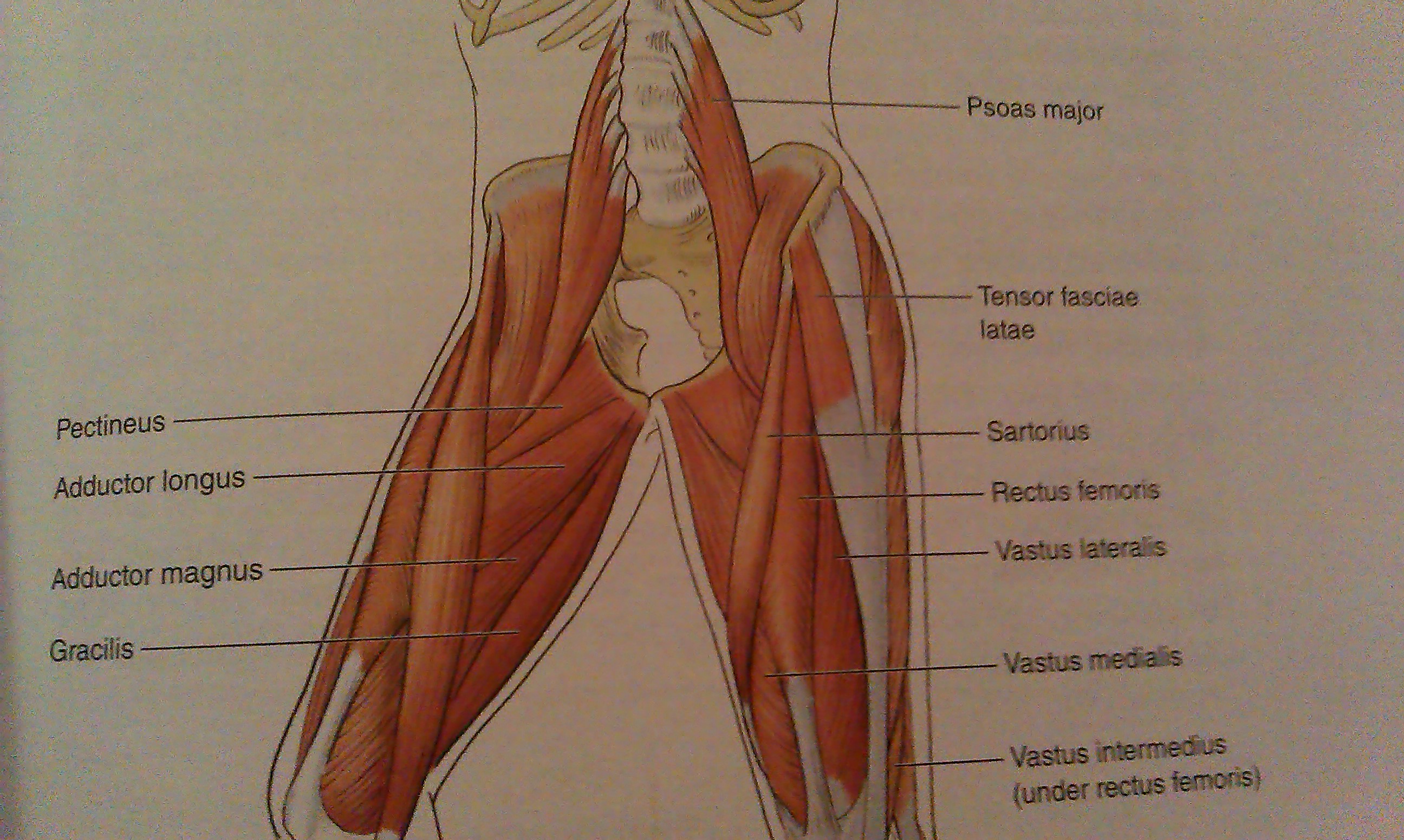 durere în articulația sacrală)